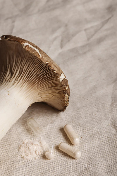 What Are Adaptogens? Benefits, Uses & How They Work