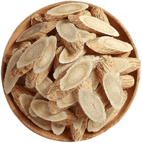 Astragalus