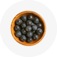 Acai Berry