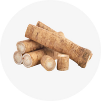 Burdock Root