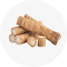 Burdock Root
