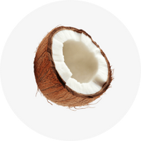 Coconut Milk