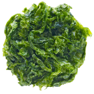 Organic Klamath Algae