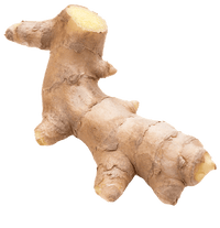 Ginger Root