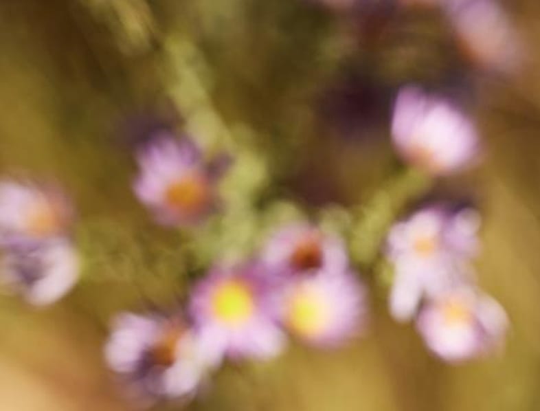 The most trusted ritual in modern wellness