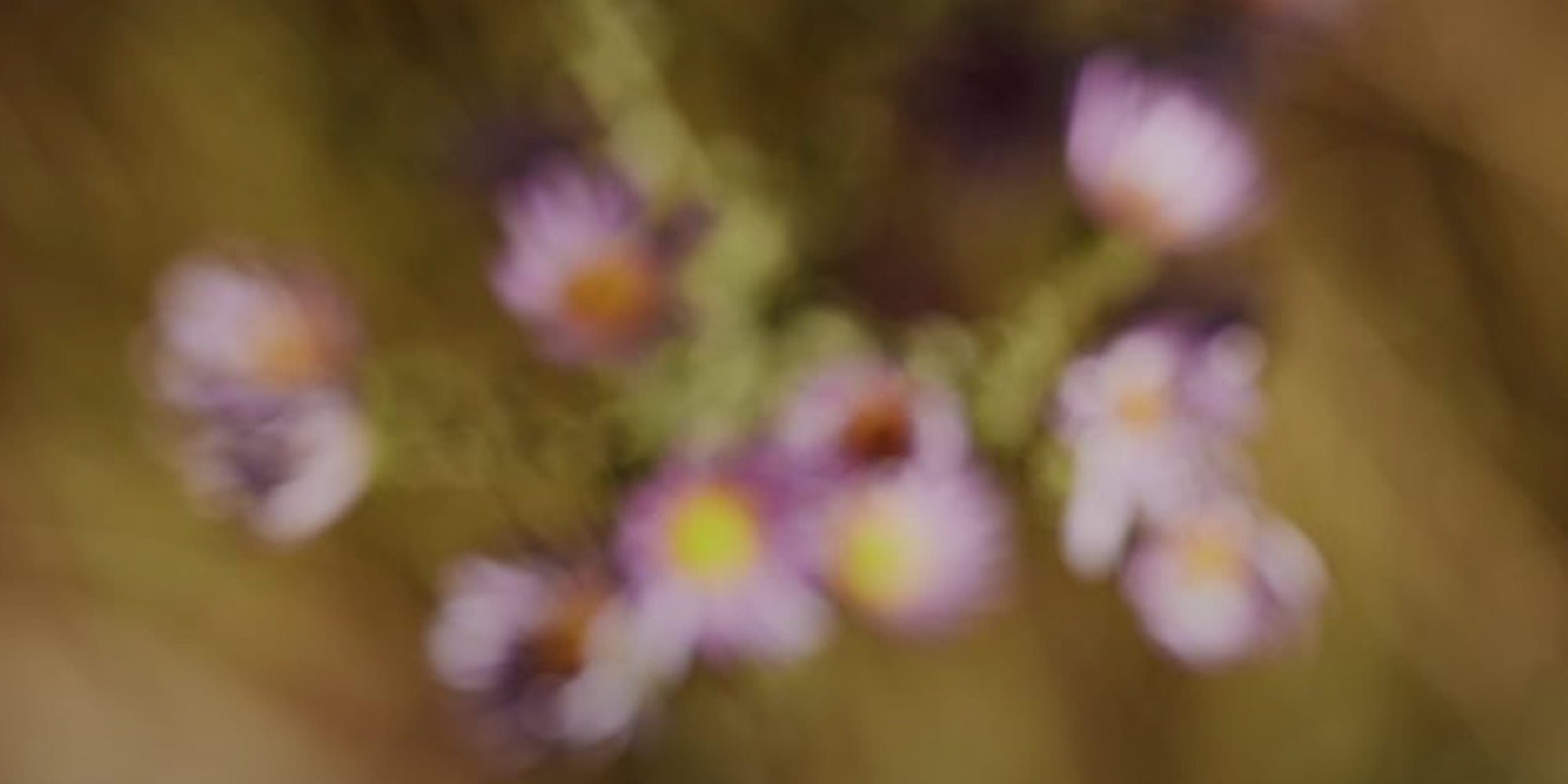 The most trusted ritual in modern wellness