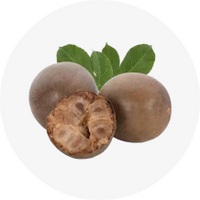 Monk Fruit