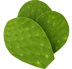 Nopal Cactus