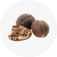 Nutmeg