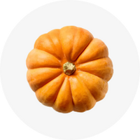 Pumpkin Protein Powder