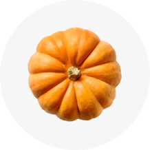 Pumpkin Protein Powder
