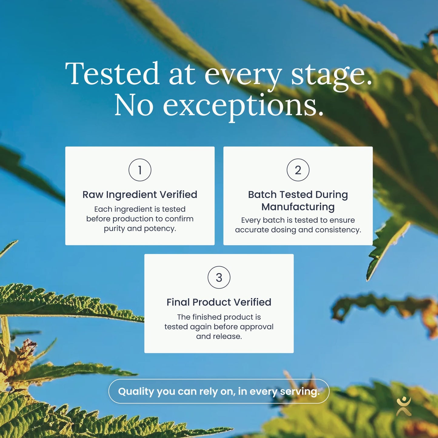 True Greens Powder Jar