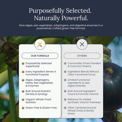 True Greens Powder Pouch