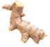 Ginger
