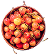 Acerola